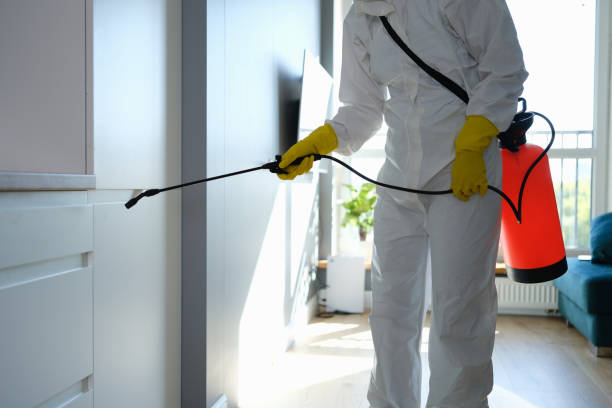 Best Biohazard Mold Removal  in Stateburg, SC